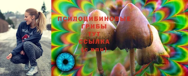 прущие крисы Балахна