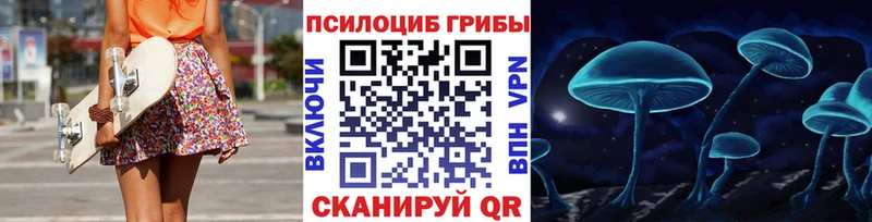 Псилоцибиновые грибы мухоморы  где найти наркотики  это клад  Куровское 